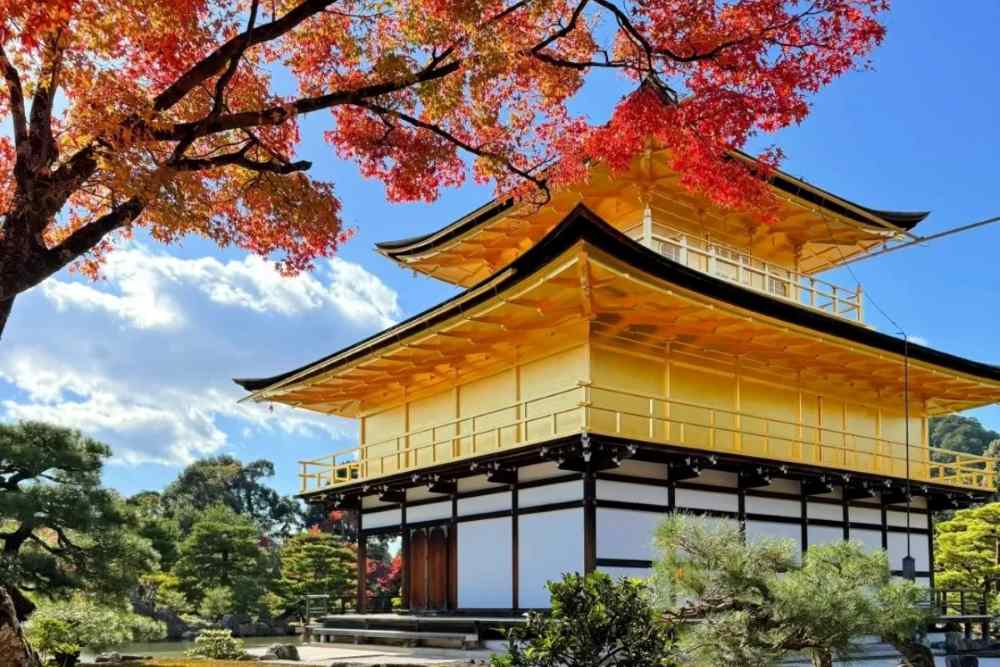 Chùa vàng Kinkakuji ở Kyoto: giá vé, giờ mở cửa và kinh nghiệm tham quan chi tiết 16 Nên tham quan chùa vàng Kinkakuji ở Kyoto vào thời điểm nào?