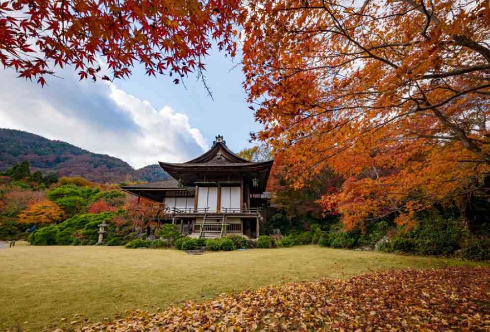 Rừng trúc Arashiyama ở Kyoto: Kinh nghiệm đi thực tế, thời điểm đẹp và lịch trình dễ áp dụng 22 Okochi Sanso