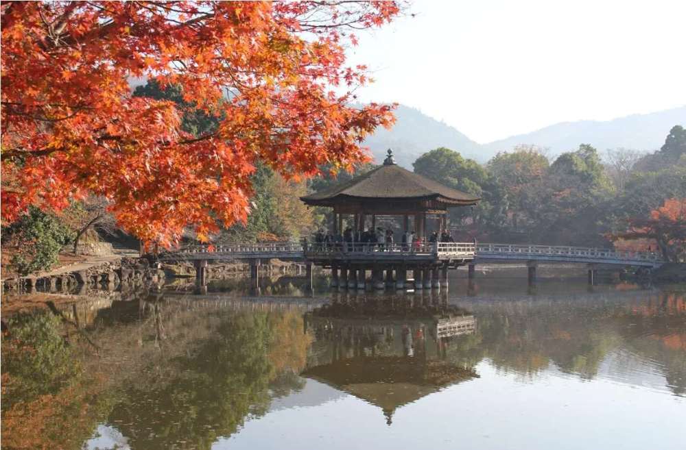 Kinh nghiệm tham quan công viên Nara: Chỉ dẫn đi lại và cách tương tác an toàn với nai 18 Chuẩn bị kết nối Internet khi tham quan công viên Nara