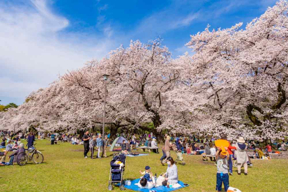 Golden Week Nhật Bản là gì?