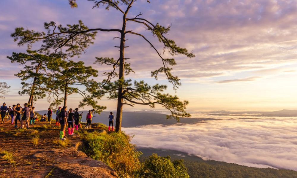 Khám phá Phu Kradueng: Thiên đường núi rừng Thái Lan 6 Ngắm bình minh ở Phu Kradueng