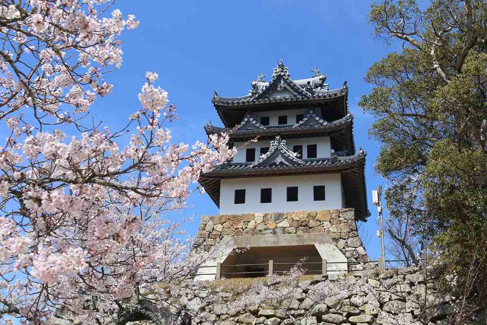 Sumoto Castle