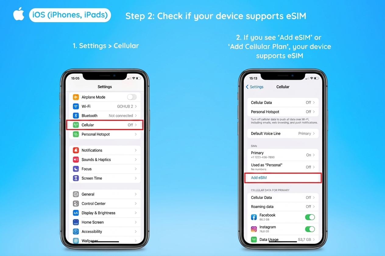 Check eSIM in Cellular Settings